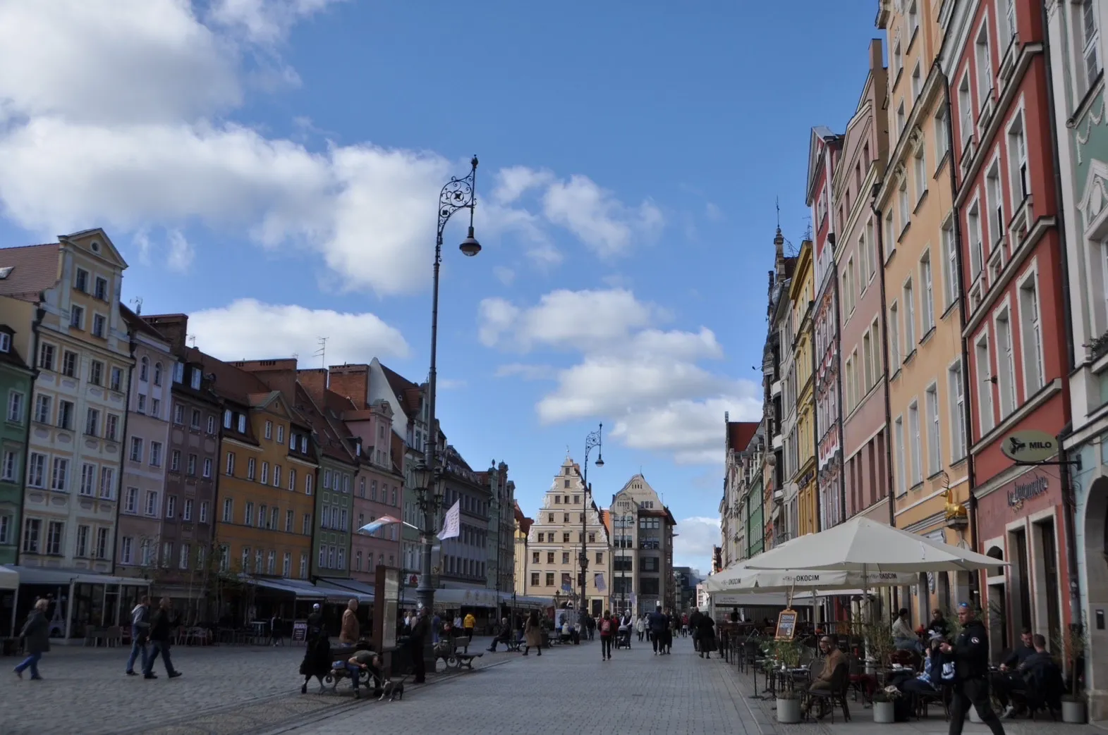 ポーランドの大学の学費 | ルセップ